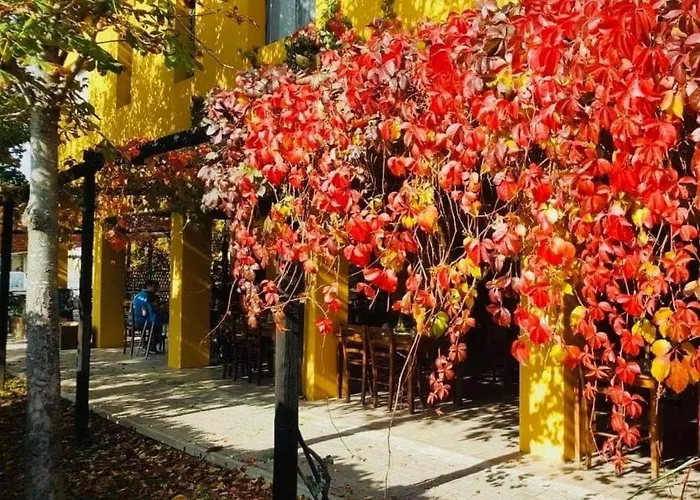 Cascina Bosco Gerolo