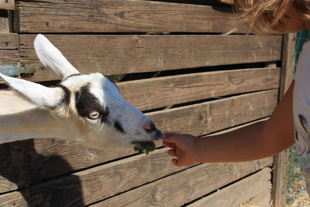Cascina Bosco Gerolo Séjour à la ferme *
